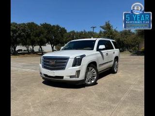 2016 Cadillac Escalade Platinum 4WD photo