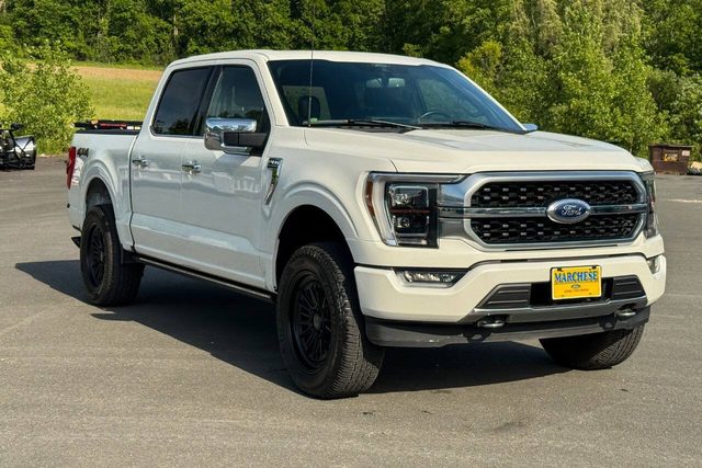 2021 Ford F-150 Platinum 4WD photo