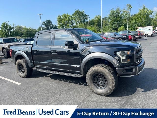 2017 Ford F-150 Raptor 4WD photo