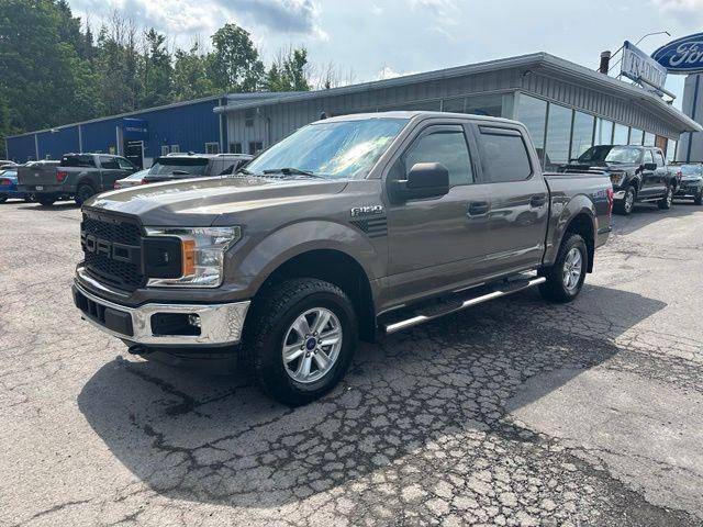 2019 Ford F-150 XLT 4WD photo