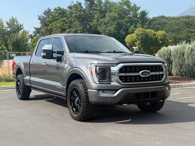 2021 Ford F-150 Platinum 4WD photo