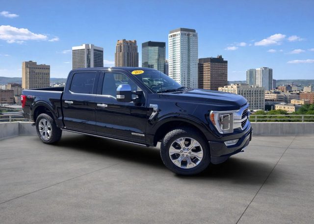 2021 Ford F-150 Platinum 4WD photo