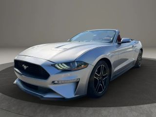 2020 Ford Mustang EcoBoost RWD photo