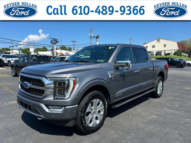 2021 Ford F-150 Platinum 4WD photo