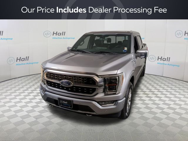 2021 Ford F-150 Platinum 4WD photo