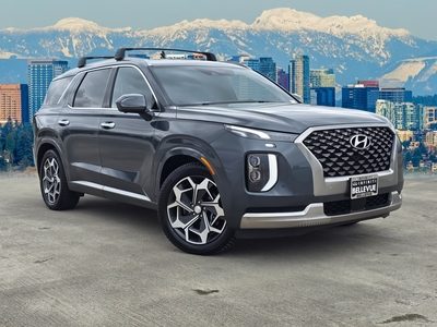2022 Hyundai Palisade Calligraphy AWD photo