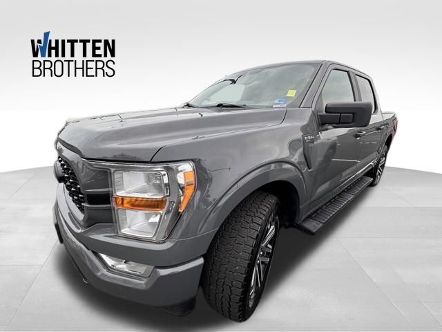 2021 Ford F-150 XL 4WD photo