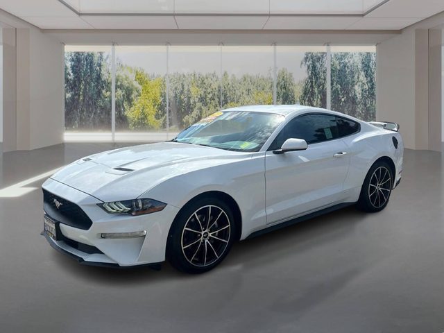 2021 Ford Mustang EcoBoost RWD photo