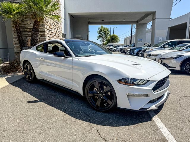 2021 Ford Mustang EcoBoost RWD photo