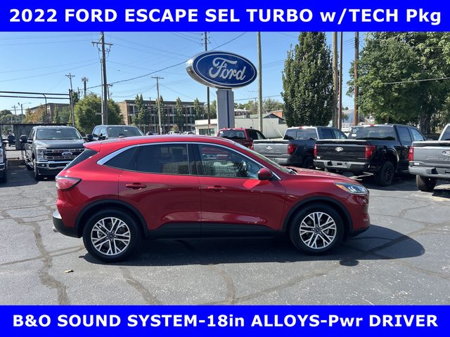 2022 Ford Escape SEL FWD photo