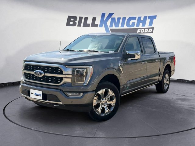 2022 Ford F-150 Platinum 4WD photo