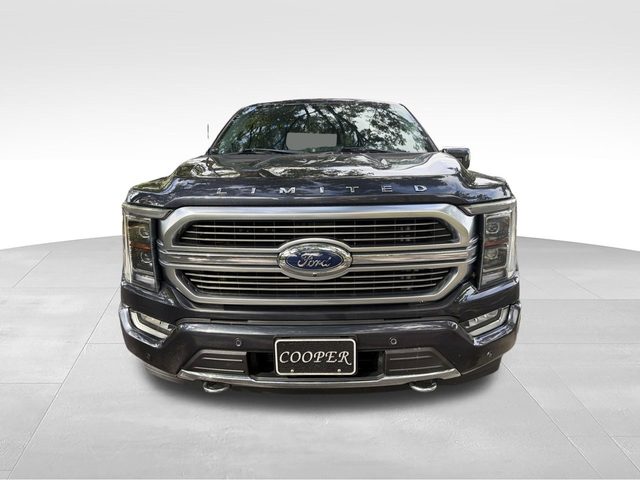 2022 Ford F-150 Limited 4WD photo