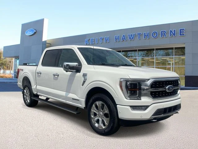2022 Ford F-150 Platinum 4WD photo