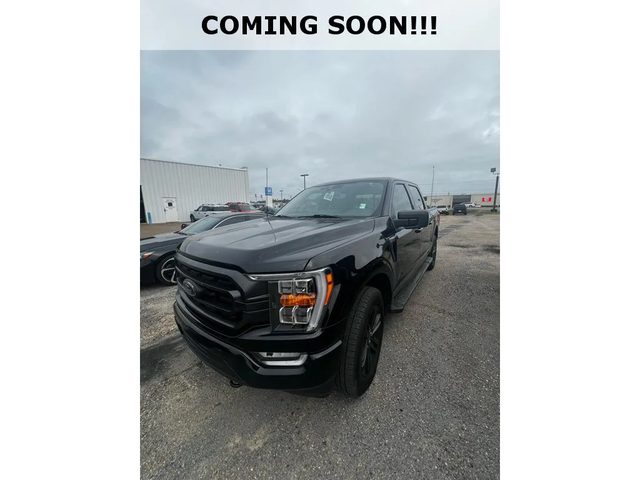 2022 Ford F-150 XLT 4WD photo