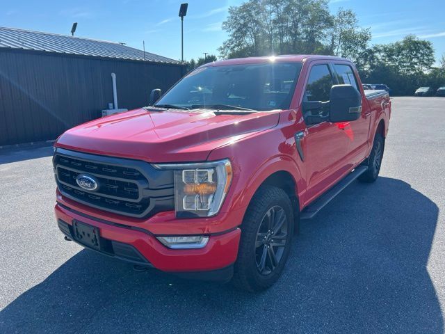 2022 Ford F-150 XLT 4WD photo