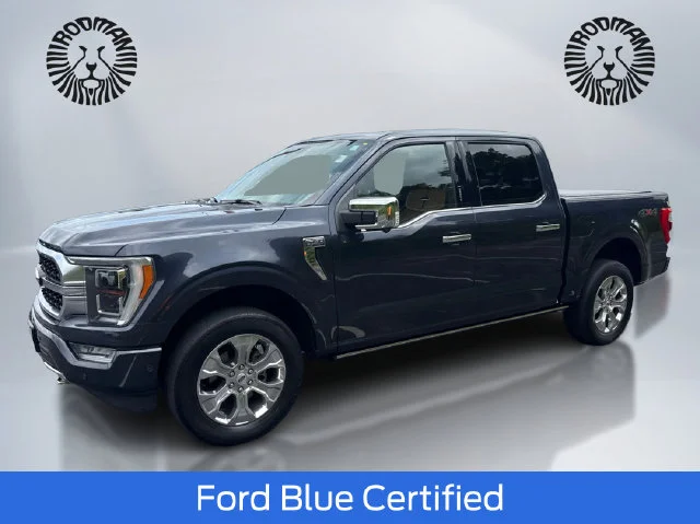 2022 Ford F-150 Platinum 4WD photo