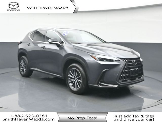 2022 Lexus NX NX 350h AWD photo