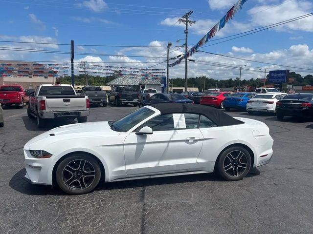2020 Ford Mustang EcoBoost Premium RWD photo