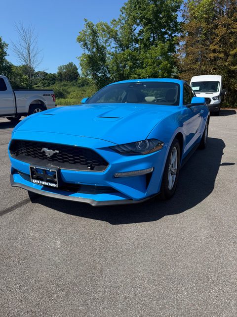 2022 Ford Mustang EcoBoost RWD photo