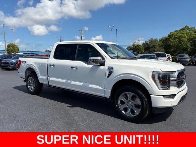 2022 Ford F-150 Platinum 4WD photo