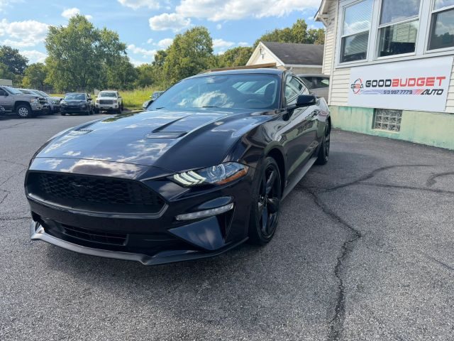 2022 Ford Mustang EcoBoost RWD photo