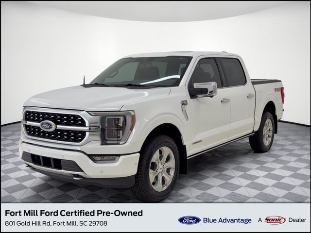 2022 Ford F-150 Platinum 4WD photo