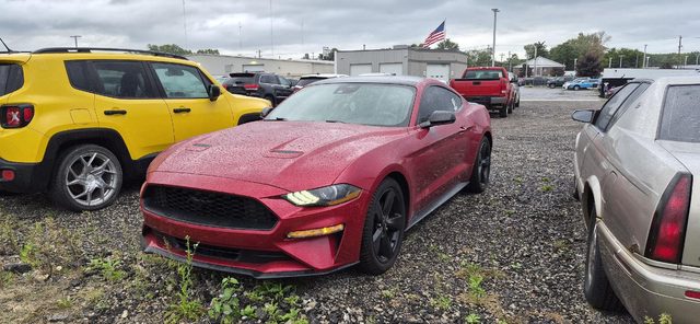 2022 Ford Mustang EcoBoost RWD photo