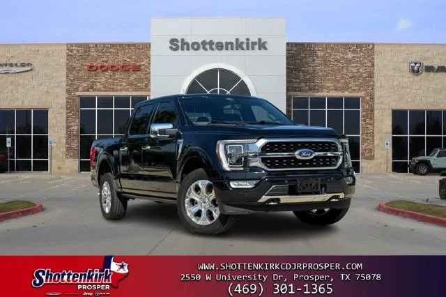 2022 Ford F-150 Platinum 4WD photo