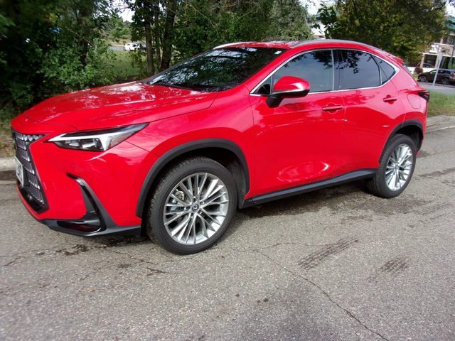 2022 Lexus NX NX 350h Premium AWD photo
