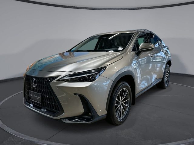 2023 Lexus NX NX 350 Premium AWD photo