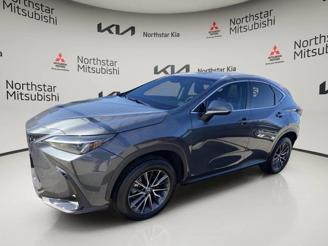 2023 Lexus NX NX 250 Premium FWD photo