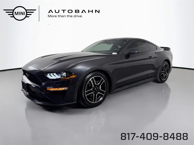 2022 Ford Mustang EcoBoost RWD photo
