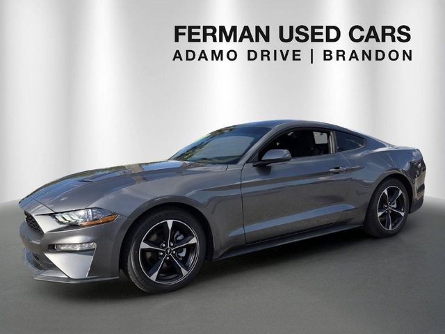 2022 Ford Mustang EcoBoost RWD photo