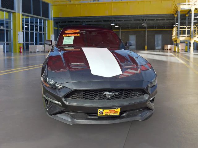 2020 Ford Mustang EcoBoost RWD photo
