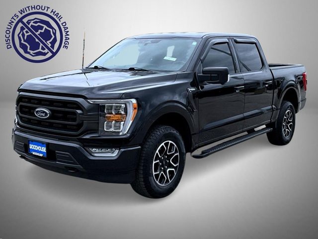 2023 Ford F-150 XLT 4WD photo