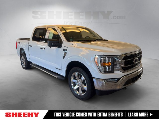 2022 Ford F-150 XLT 4WD photo