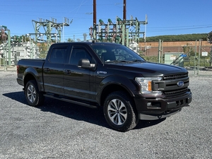 2020 Ford F-150 XLT 4WD photo