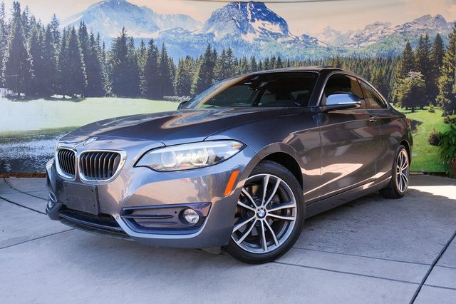 2019 BMW 2 Series 230i RWD photo