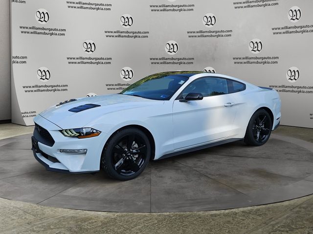 2023 Ford Mustang EcoBoost RWD photo