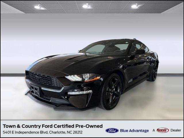 2023 Ford Mustang EcoBoost RWD photo