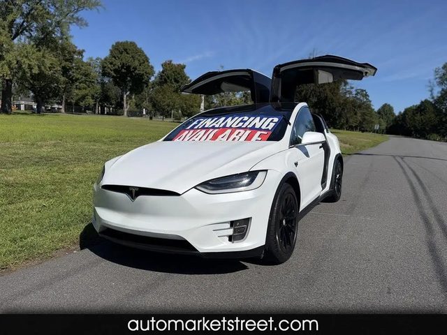 2019 Tesla Model X 100D AWD photo