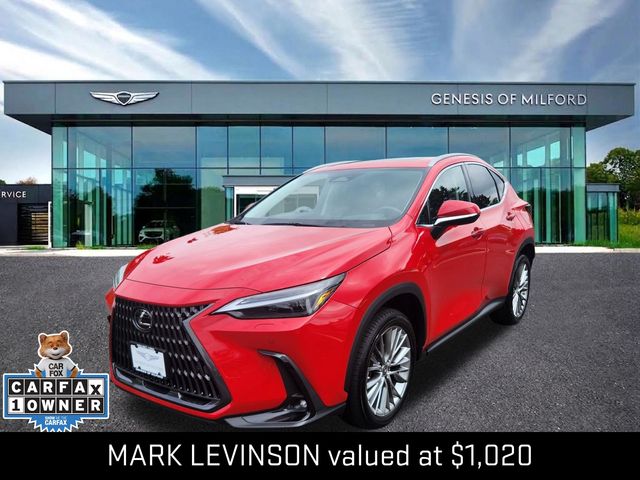 2023 Lexus NX NX 350 Luxury AWD photo