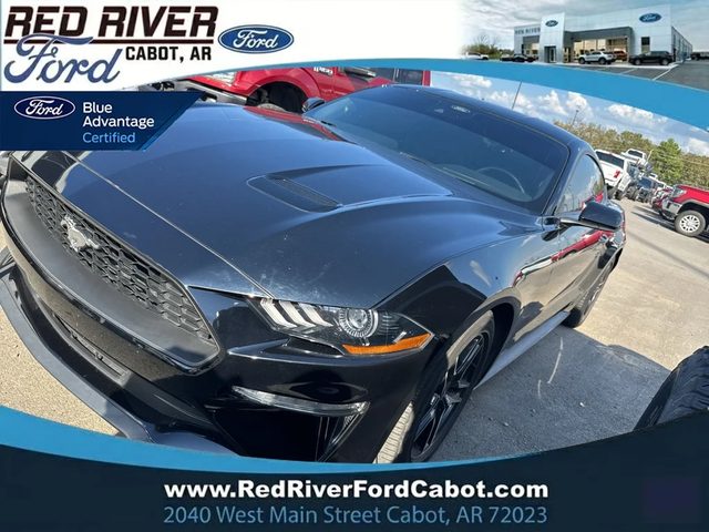 2023 Ford Mustang EcoBoost RWD photo