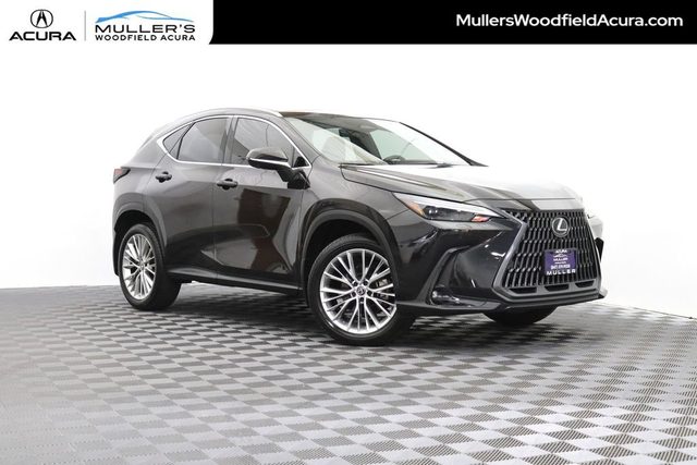 2023 Lexus NX NX 350 Luxury AWD photo