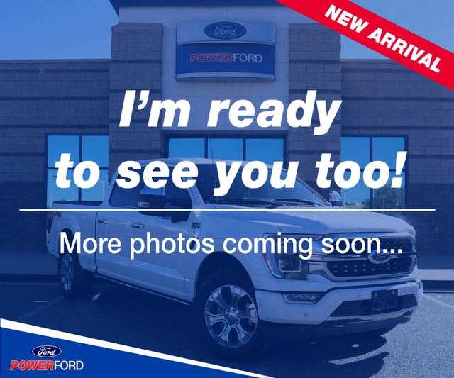 2023 Ford F-150 Platinum 4WD photo