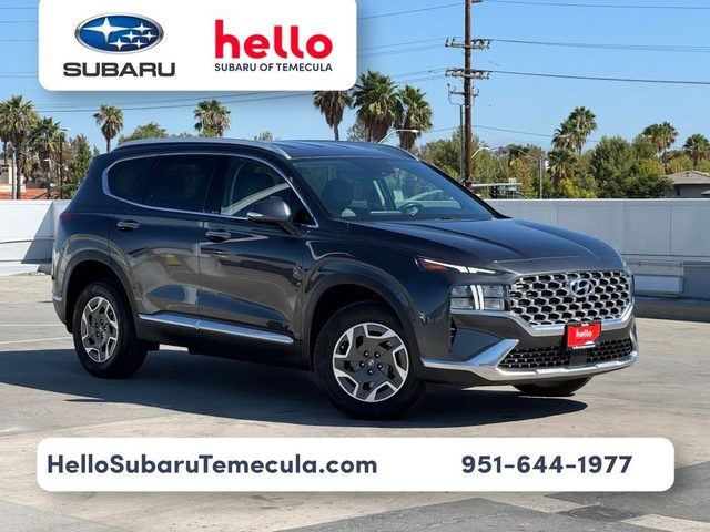 2023 Hyundai Santa Fe Blue AWD photo