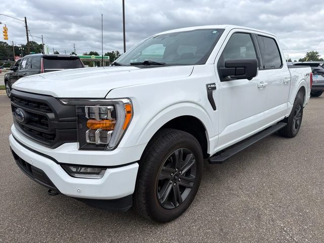2023 Ford F-150 XLT 4WD photo