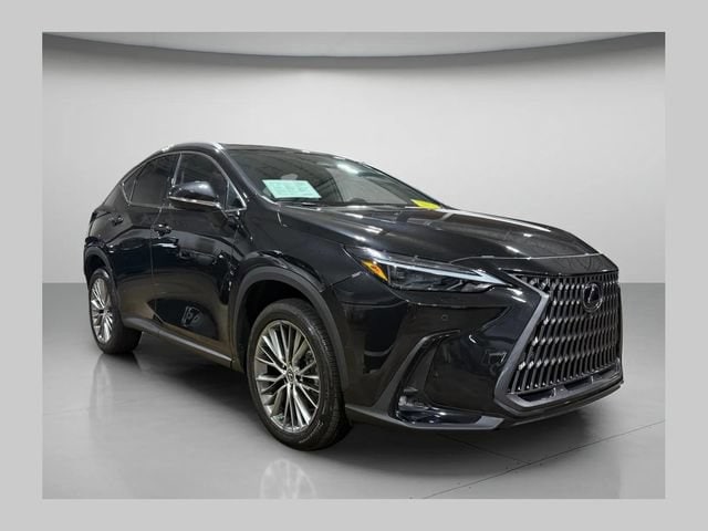 2023 Lexus NX NX 350h Luxury AWD photo