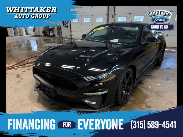 2023 Ford Mustang EcoBoost RWD photo