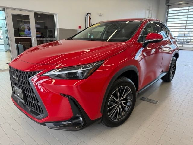 2023 Lexus NX NX 250 AWD photo